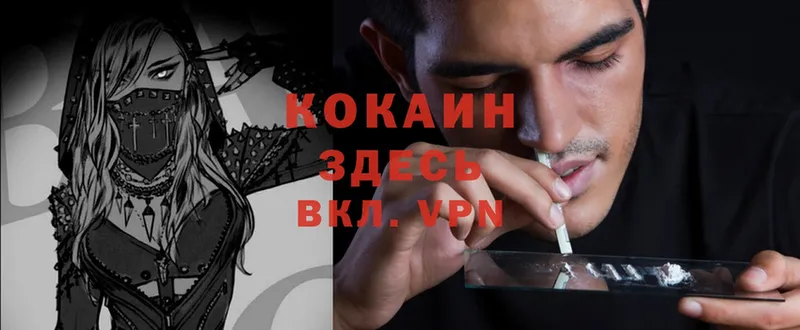 COCAIN Fish Scale  OMG как войти  Новотроицк  закладки 