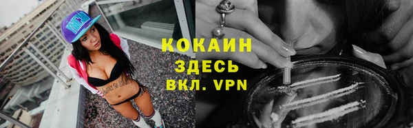 сатива Надым