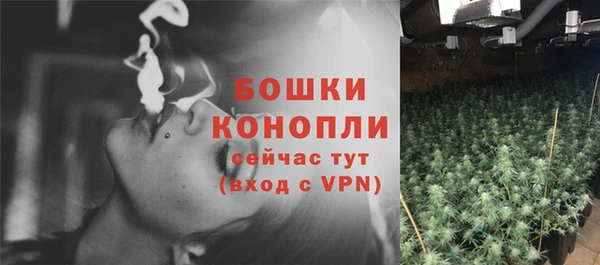 сатива Надым