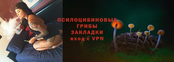 дурь Наволоки