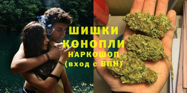 сатива Надым
