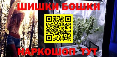 крисы Дубна