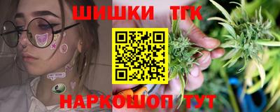 крисы Дубна