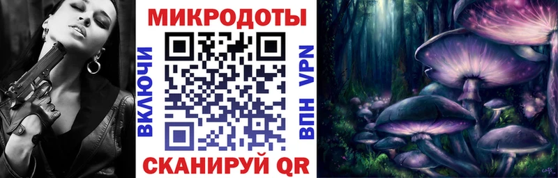 Псилоцибиновые грибы прущие грибы Новотроицк