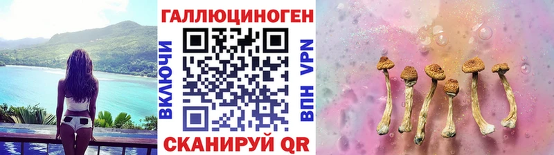Галлюциногенные грибы ЛСД  где найти наркотики  Новотроицк 
